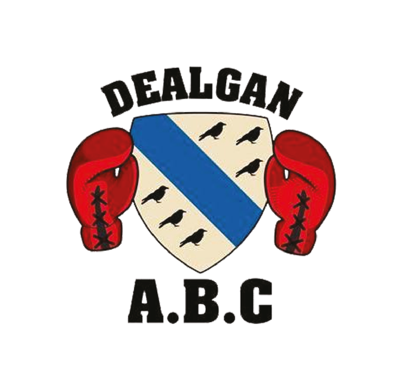 Dealgan Boxing Club
