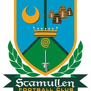Stamullen FC