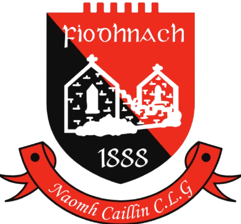 Fenagh St. Caillins GAA