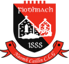 Fenagh St. Caillins GAA logo