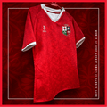 Lions Jersey - Regular Fit - Kids - Defy.ie