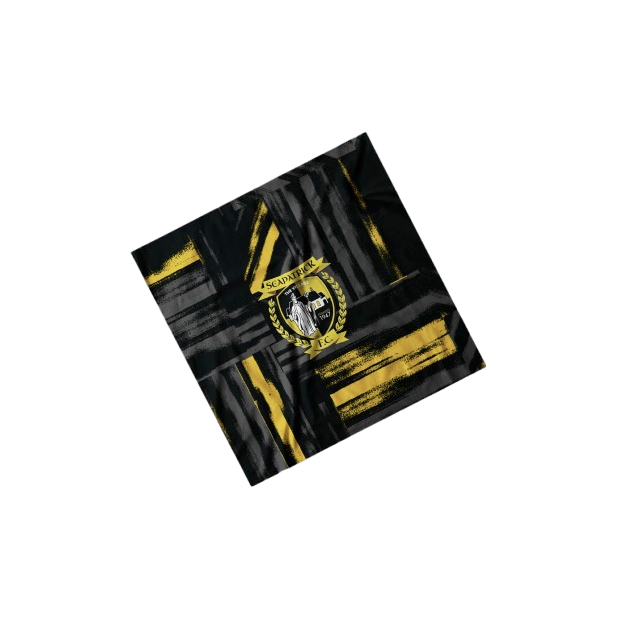 Seapatrick FC  Snood